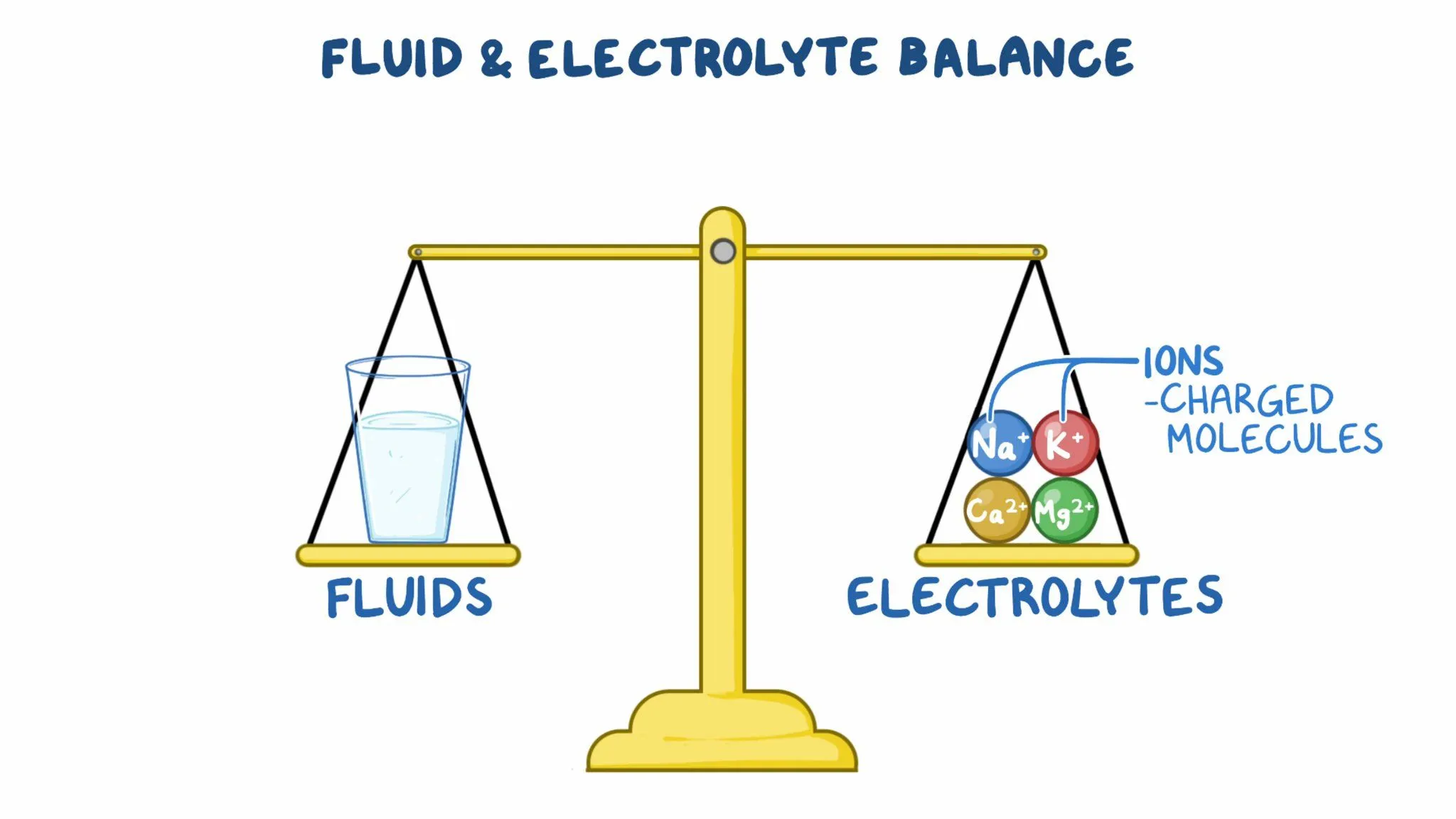 Overview of Fluid and Electrolyte